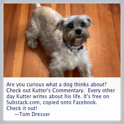 Click to visit Katter's Commentary Kutter's Commentary